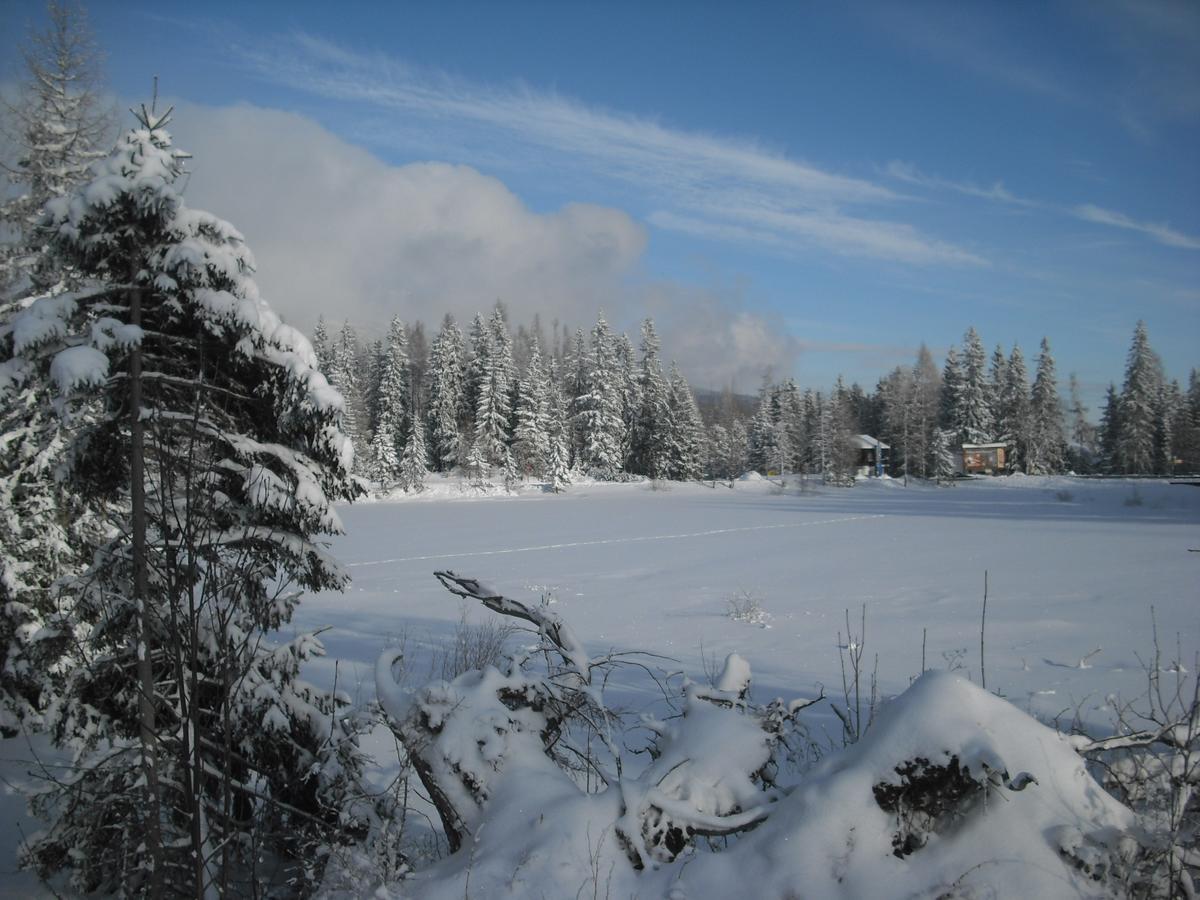 Apartman Panorama 213, Štúdio Comfort Štrbské Pleso Exterior foto